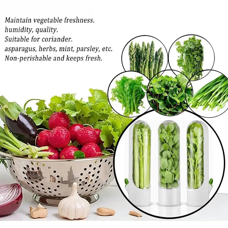 Portable Herb Keeper – Keep Herbs Fresh, Flavorful & Ready Anytime