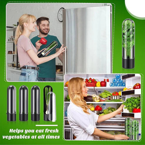 Portable Herb Keeper – Keep Herbs Fresh, Flavorful & Ready Anytime